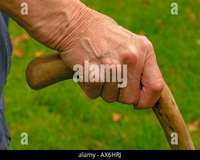Persona anziana e la mano che tiene la canna da zucchero Foto Stock