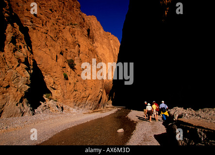 Persone, turisti, visitatori, passeggiate, il letto del fiume, todra gorge, canyon, todgha gorge, Alto Atlante, vicino alla città di tinerhir, Marocco, Africa Foto Stock