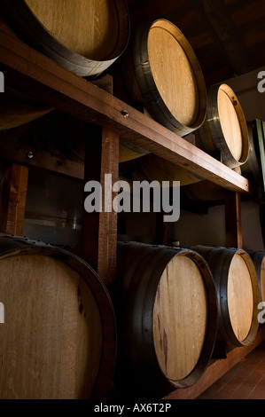 Botti di rovere in cui il vino matura in un italiano di cantina in cantina serie Foto Stock