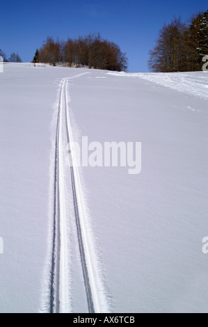 Piste per lo sci di fondo a maiden pianura di neve nel Parco Nazionale Nizke Tatry, Slovacchia Foto Stock