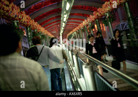 Il popolo cinese il pendolarismo sulla centrale di Hong Kong scale mobili la più lunga scala mobile nel mondo Foto Stock