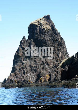 Affioramento roccioso con nido di uccelli sulla parte superiore, l'isola della Georgia del Sud, vicino l'antartide Foto Stock