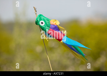 Bird scarers sul riparto Londra Inghilterra REGNO UNITO GB Foto Stock