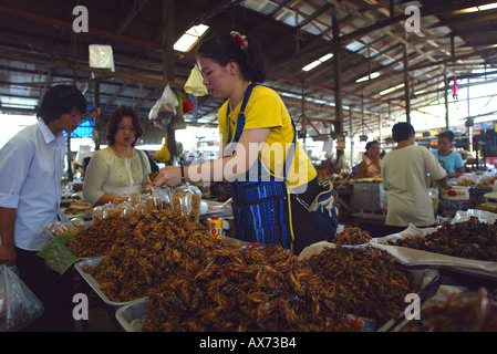 Insetti fritti sono una prelibatezza spesso venduti in mercati tailandese Foto Stock