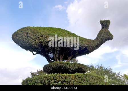 Dentro i giardini del castello di Warwick Warwickshire Midlands England Regno Unito Foto Stock