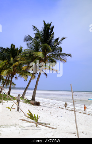 Palme sulla costa del Kenya a Bamburi Beach Foto Stock