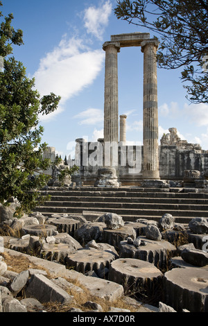 Rovinato Tempio incorniciata dagli alberi i monconi di colonne telaio una vista di massicce colonne con il tempio passi nella terra di mezzo Foto Stock