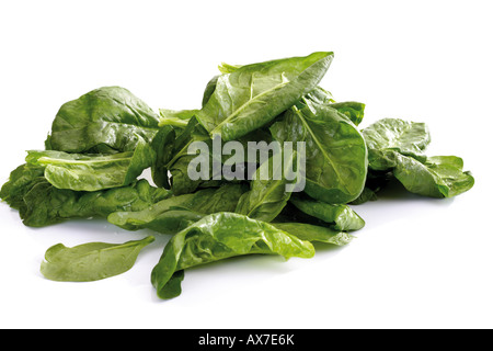 Fresche foglie di spinaci Foto Stock