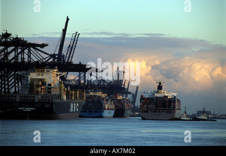 Cosco container nave proveniente lungo il lato a Trinity banchina del porto di Felixstowe nel Suffolk, Gran Bretagna il contenitore più grande porto. Foto Stock