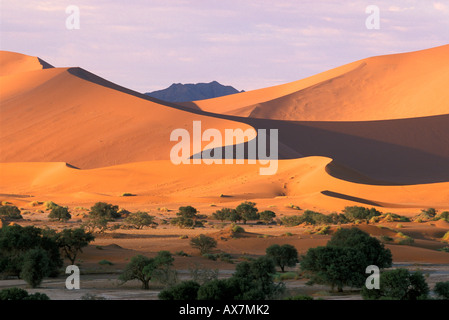 Namib Desert e sanddunes al tramonto, Sossusvlei, Namibia, Africa Foto Stock