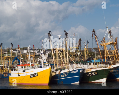 KILMORE QUAY MARINA con commerciale ormeggiate barche da pesca. Kilmore Quay Co Wexford Eire Foto Stock