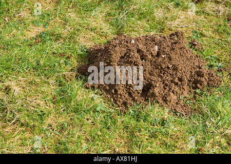 Collina di talpa, UK. Foto Stock