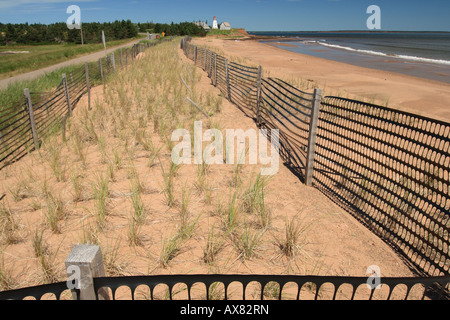 Spiaggia di dune di erba progetto di restauro Foto Stock