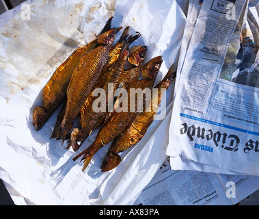 Aringa affumicata su un giornale, Bormholm, Danimarca, Europa Foto Stock