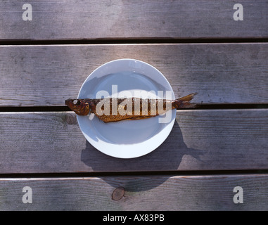 Aringa affumicata su una piastra, Bormholm, Danimarca, Europa Foto Stock