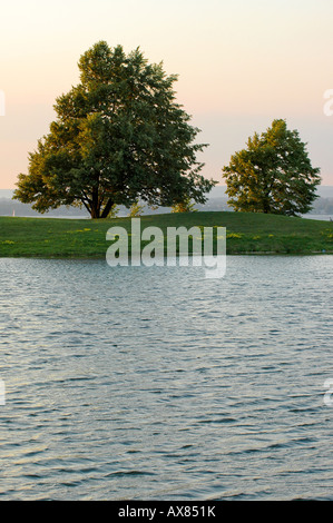 Un paio di alberi su una piccola isola a Andrew Haydon Park ad Ottawa in Canada Foto Stock