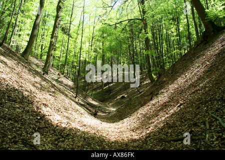 Krasnobrod burrone in Krasnobrod Landscape Park Roztocze Polonia Foto Stock