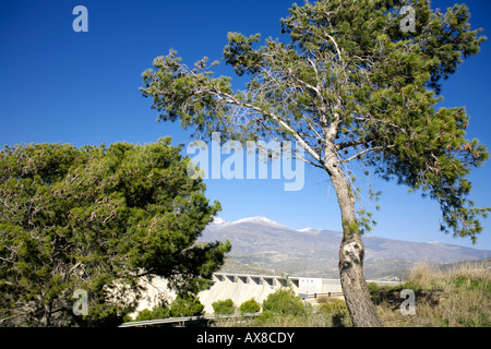 La diga di regole o presa de regole Guadalfeo Rio, Las Alpujarras, provincia di Granada, Andalusia, Spagna Foto Stock