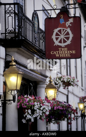 Il bar pubblico, la ruota di Catherine, Oxfordshire, Henley on Thames Europa, Inghilterra Foto Stock