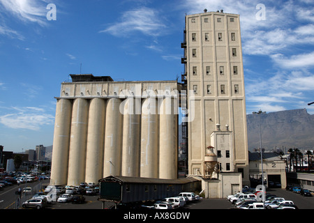 Silos per il grano sul pesce Quay Road V&A waterfront cape town Western Cape Province sud africa Foto Stock