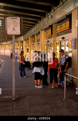 Lo spagnolo, spagnoli, popolo spagnolo, compagnia aerea passeggeri, livello di partenza, l'aeroporto internazionale di Barajas, Madrid, provincia di Madrid, Spagna, Europa Foto Stock