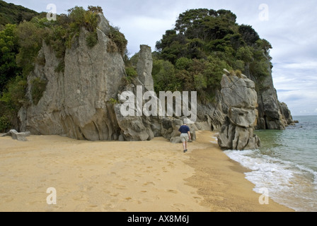 Anapai Bay su il Parco Nazionale Abel Tasman costa vicino Totaranui nell'Isola del Sud della Nuova Zelanda. Foto Stock