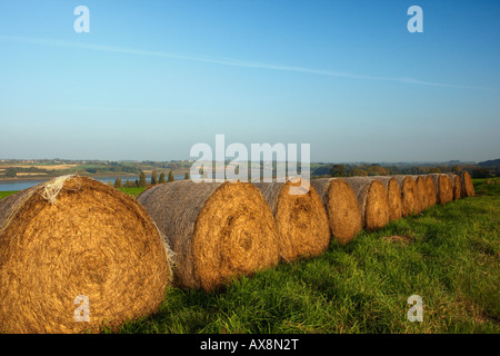 I rotoli di fieno e paglia sul lato di un campo in Francia dal fiume Rance Foto Stock