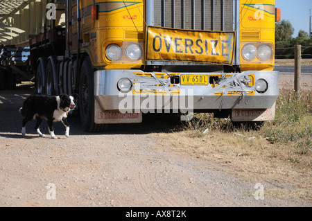 Un cane di camminare al fianco di un Kenworth parcheggiato di fianco alla porta Wakefield Road ad Adelaide nel Sud Australia. Foto Stock