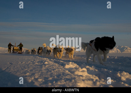 Sled Dog team 5 Jens Jepsen 30 e Soren Christiansen danese Forze Speciali cane Sirius Patrol Mestersvig nord est della Groenlandia Foto Stock