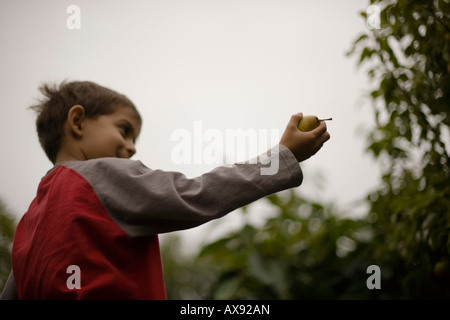 Little Boy detiene pera in mano di età compresa tra i sei Foto Stock