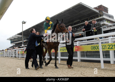 Un cavallo vincente e jockey nella parte anteriore del cavalletto principale a Prestbury Racecourse durante il Cheltenham nazionale Festival di suoneria Foto Stock