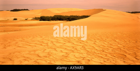 Le dune di sabbia a Medanos de Coro del Parco Nazionale, Venezuela, Sud America, America Foto Stock