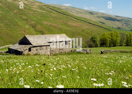 Fieno tradizionale prato e campo di pietra fienile in Littondale Foto Stock