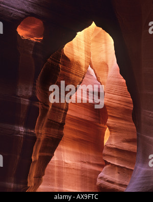 Tomaia Antelope Canyon. Lacrima. Arizona USA Foto Stock