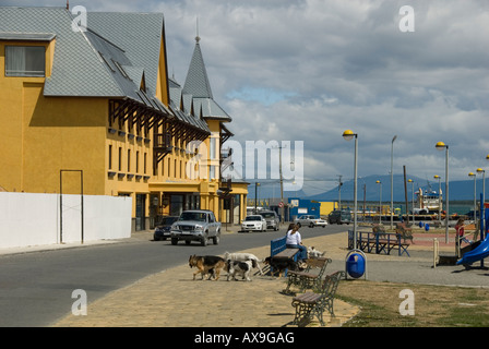 Puerto Natales,Cile Stepp Patagonia,Cile Foto Stock