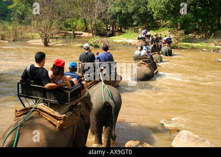 I turisti che attraversa un fiume sul dorso di elefanti elefante training camp Chiang Dao vicino a Chiang Mai Thailandia Ott 2005 Foto Stock