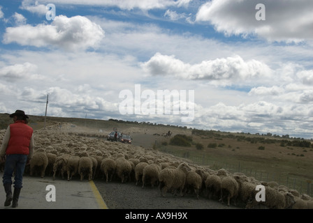 C-309, Copiapó, III Región, il Cile del sud, Sud America Foto Stock