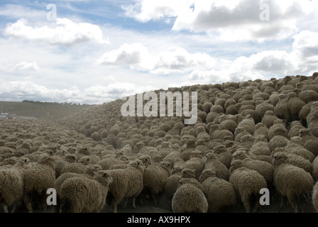 C-309, Copiapó, III Región, il Cile del sud, Sud America Foto Stock