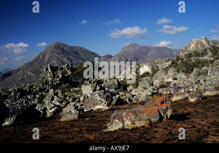 Paesaggio roccioso di quarzite massi in montagne Chimanimani Zimbabwe Africa Foto Stock