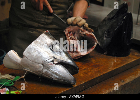 Teste di tonno presso il mercato del pesce di Tsukiji, Tokyo. Foto Stock