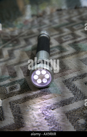 Torcia con molto luminosa delle lampadine a LED utilizza in modo poco potere le batterie durano molte ore Foto Stock