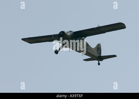 British Army Air Corps volo storico de Havilland Beaver AL Mk1 XP820 RIAT 2005 RAF Fairford Gloucestershire England Regno Unito Foto Stock