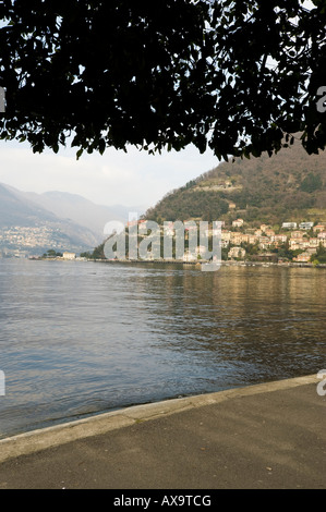 Una struttura ad albero ben curati lungo il lago di Como Como italia Foto Stock