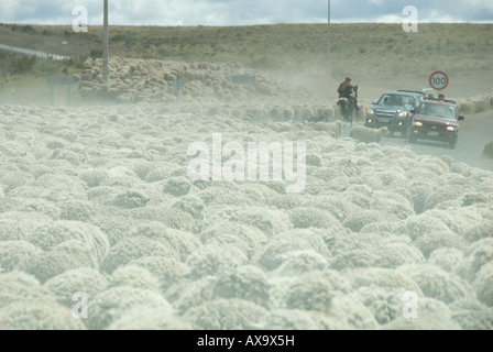 C-309, Copiapó, III Región, il Cile del sud, Sud America Foto Stock