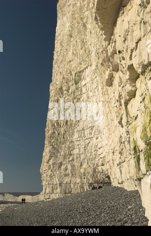Chalk scogliere a Birling Gap sulla East Sussex coast con una piccola sezione di "sette sorelle" in background. Foto Stock