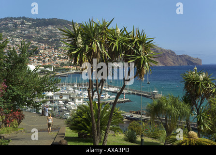 Portogallo Madeira, i giardini del Parque de Santa Catarina sopra il porto di Funchal Foto Stock