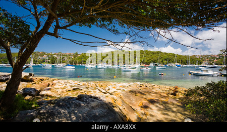 Yachs davanti Balgowlah heights Sydney Australia Foto Stock