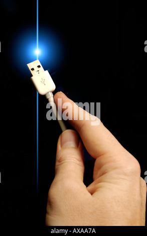 Il cavo USB e il connettore Foto Stock