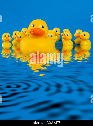 Divertenti anatre di gomma gialle e blu immagini e fotografie stock ad alta  risoluzione - Alamy