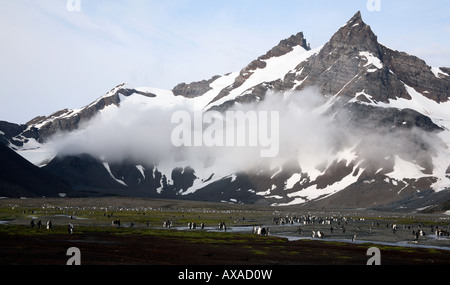 Snow capped mountain con i pinguini nella valle sottostante Foto Stock